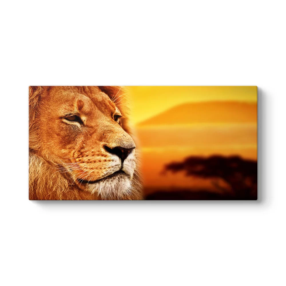 Aslan Panorama Tablo - Model 5